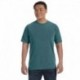 Comfort Colors C1717 Adult Heavyweight T-Shirt