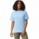 Comfort Colors C1717 Adult Heavyweight T-Shirt