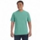 Comfort Colors C1717 Adult Heavyweight T-Shirt