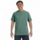 Comfort Colors C1717 Adult Heavyweight T-Shirt