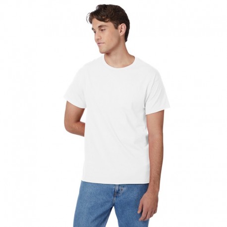 Hanes 5250T Men's Authentic-T T-Shirt