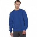 Champion S1049 Adult Reverse Weave Crew