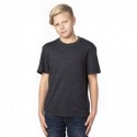 Threadfast Apparel 602A Youth Triblend T-Shirt