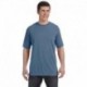 Comfort Colors C4017 Adult Lightweight T-Shirt