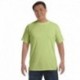 Comfort Colors C1717 Adult Heavyweight T-Shirt