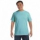 Comfort Colors C1717 Adult Heavyweight T-Shirt