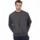 Champion S1049 Adult Reverse Weave Crew