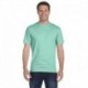 Hanes 5280 Adult Essential Short Sleeve T-Shirt